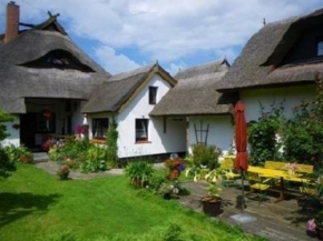 Morgensünn - Nette Wohnung in Althagen mit Terrasse in Ahrenshoop